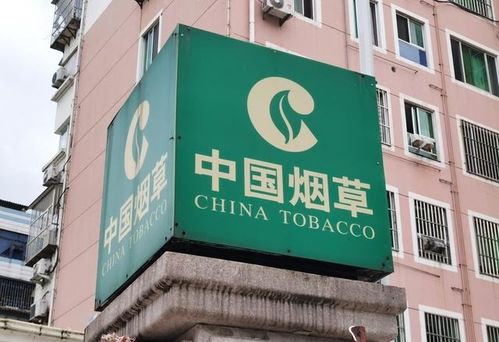 新疆煙草局校招開(kāi)啟 擴(kuò)招名額，高中起點(diǎn)，專業(yè)不限，軟件開(kāi)發(fā)崗位吸引貴州學(xué)子